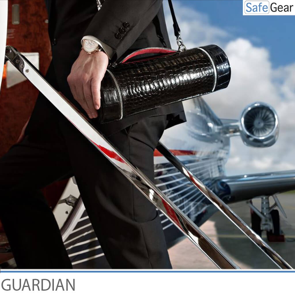 Döttling Guardian watch traveling case
